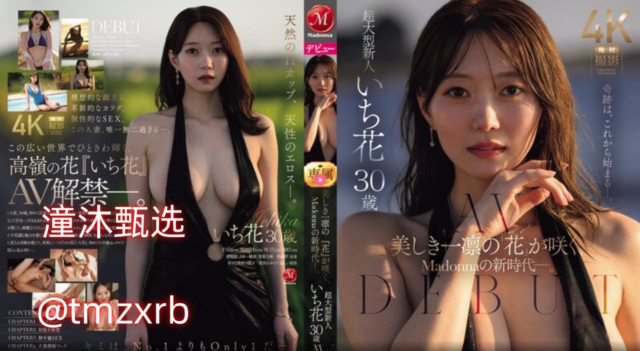 33色导航芽子メイリン モデルコレクシ